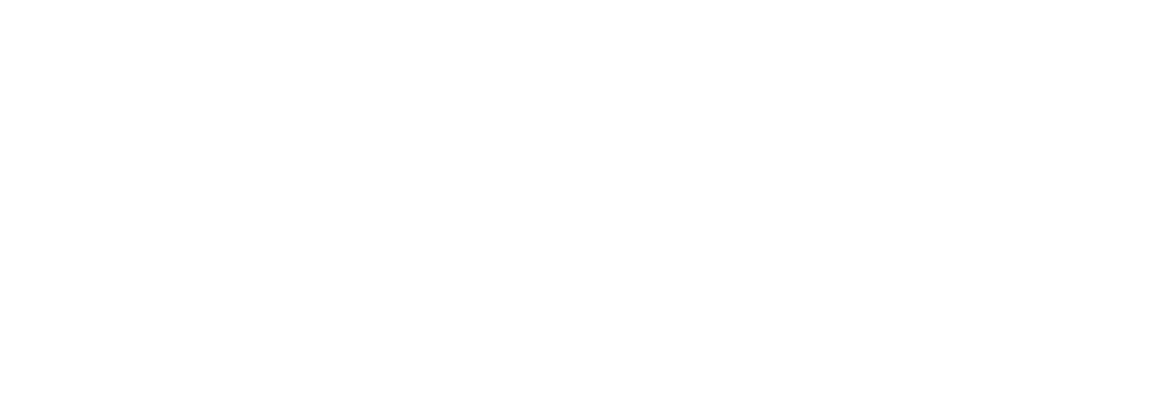 OptiLip